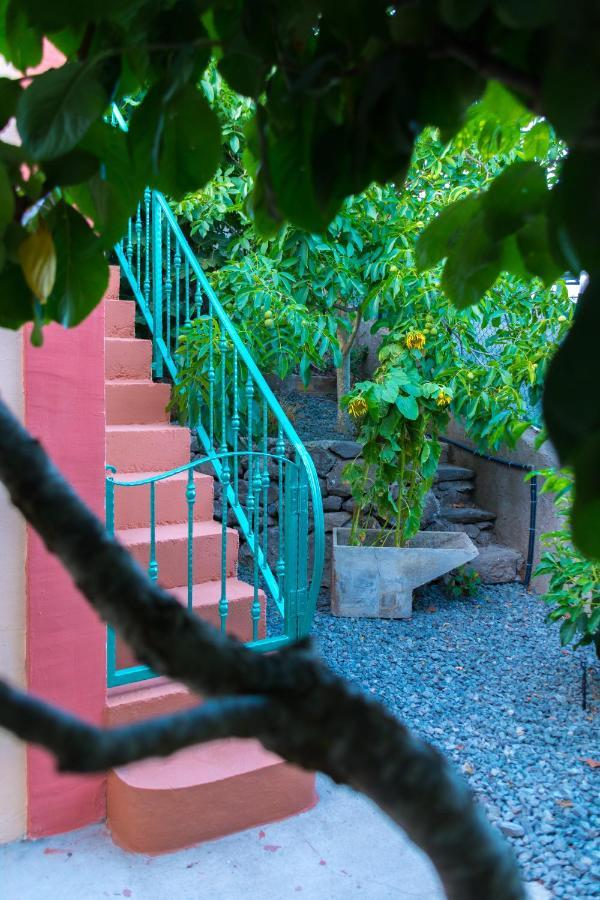 Casa Rural Bejeque Teror Eksteriør billede