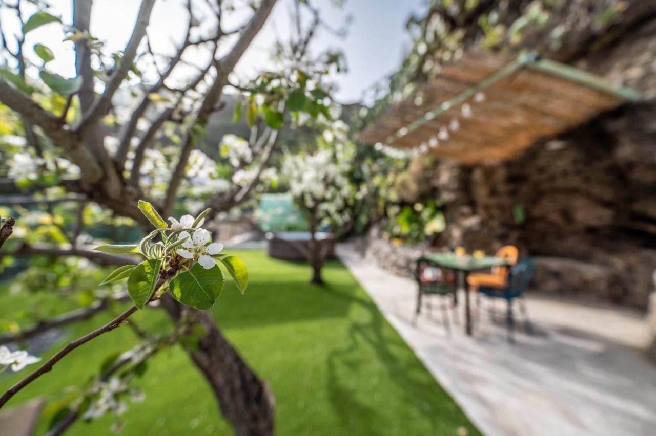 Casa Rural Bejeque Teror Eksteriør billede