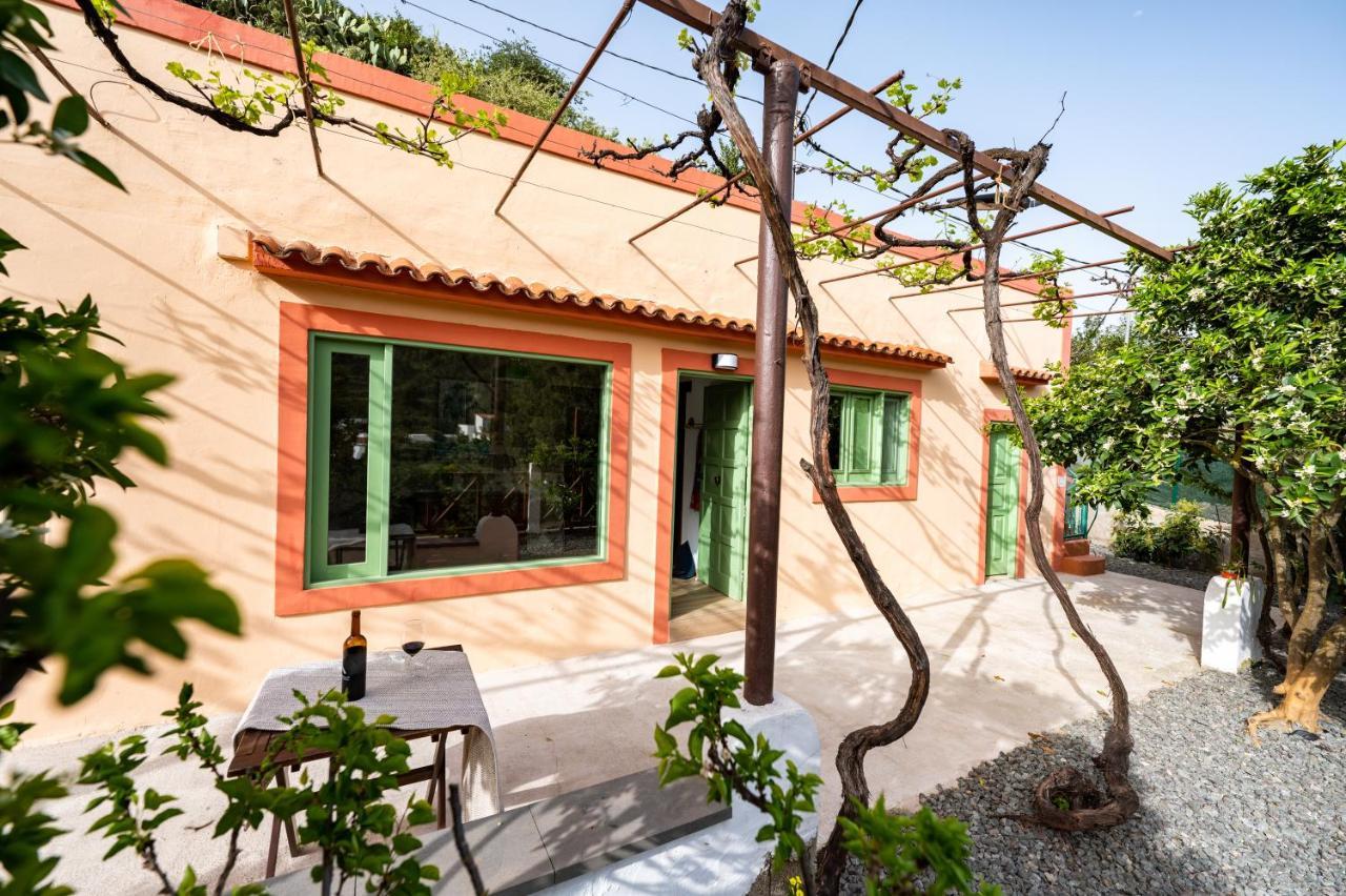 Casa Rural Bejeque Teror Eksteriør billede