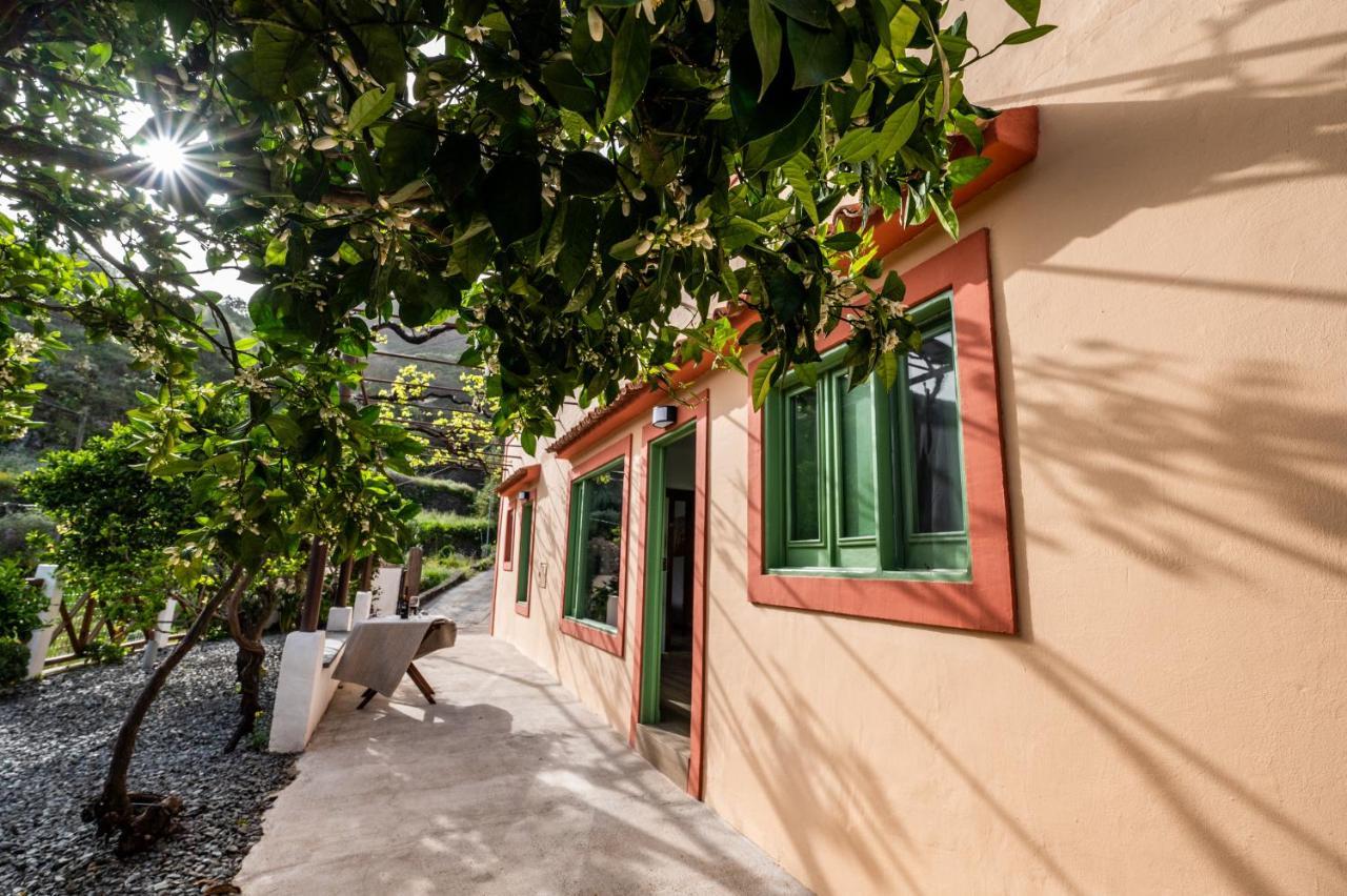 Casa Rural Bejeque Teror Eksteriør billede
