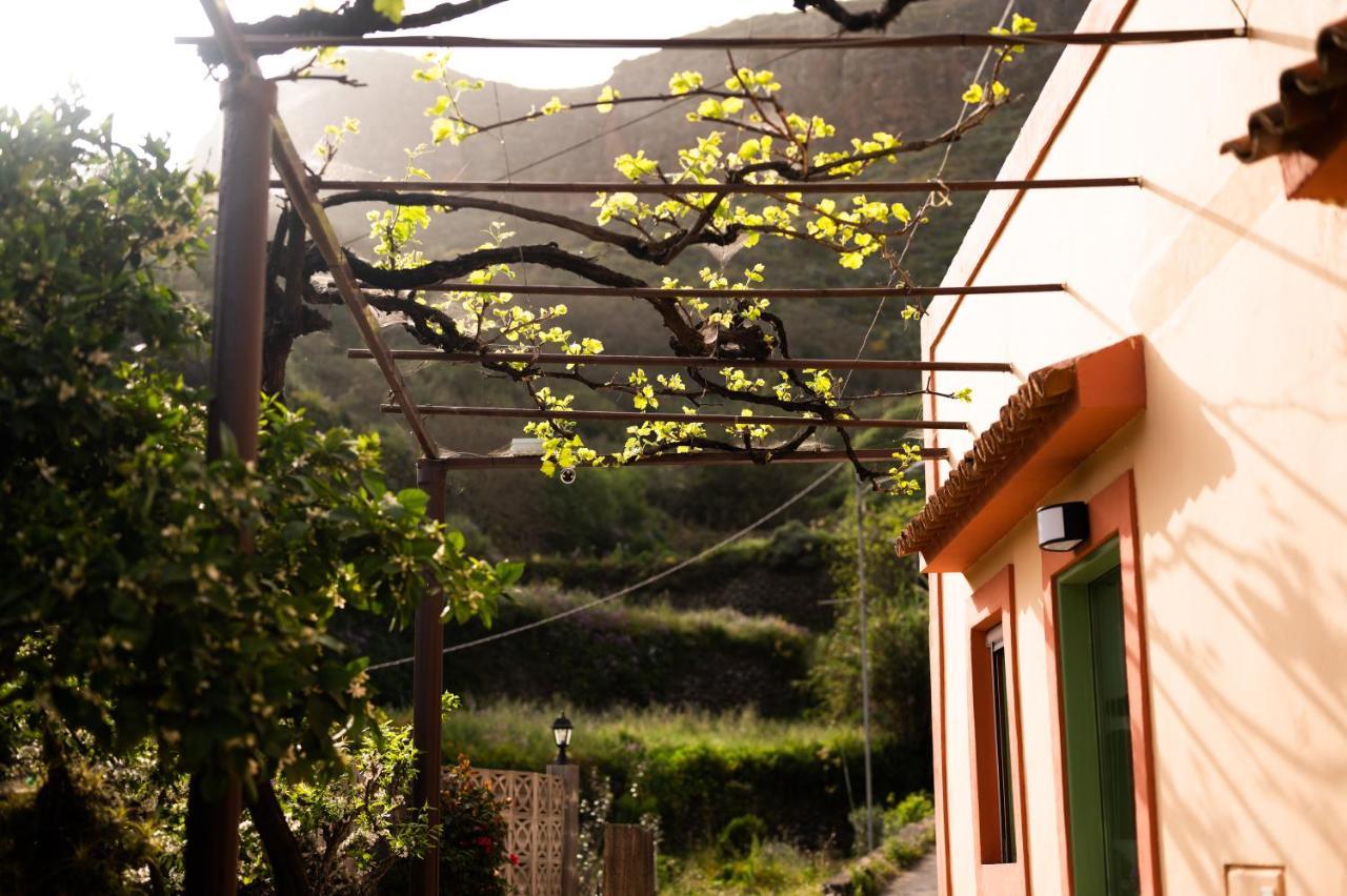 Casa Rural Bejeque Teror Eksteriør billede