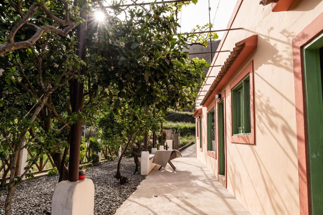 Casa Rural Bejeque Teror Eksteriør billede